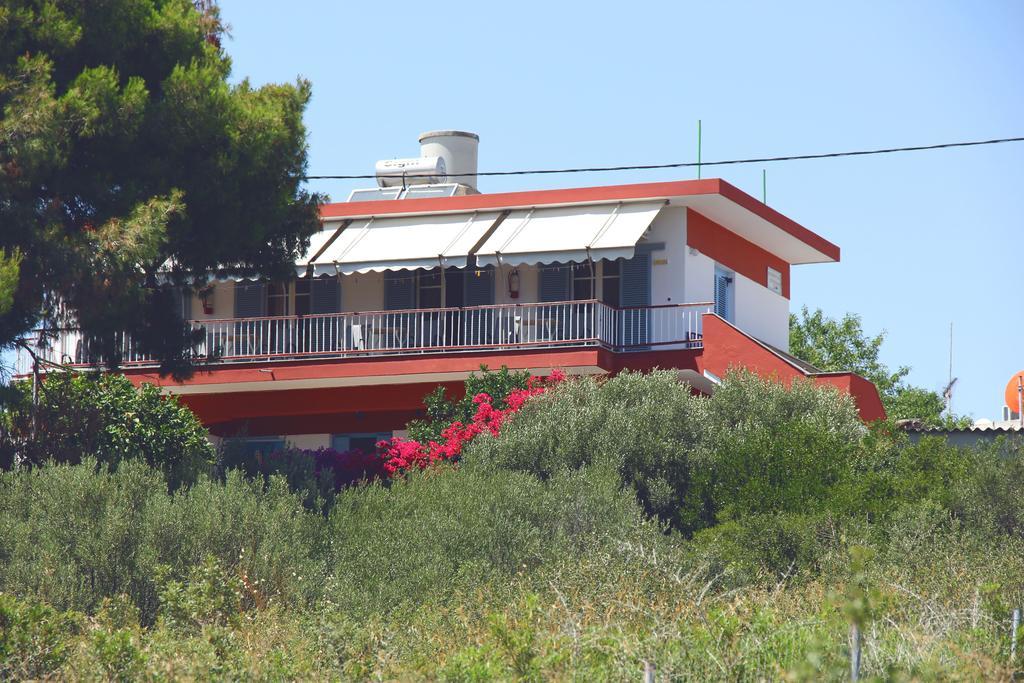 Αlexandros Apartment Votsi  Екстериор снимка